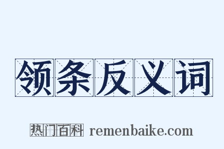 领条反义词是什么意思的图片